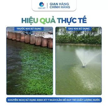 Đồng Sunfat CuSO4 - Phèn Xanh Diệt Nấm